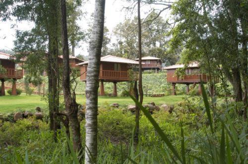 Quinta Das Eiras Santo Antonio da Serra Eksteriør bilde